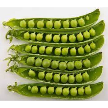 Green Peas  (10)-7151630-92619.webp